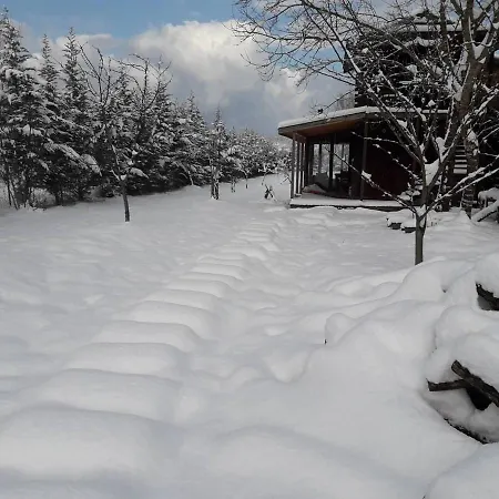 House With Backyard And Winter Garden In Agva Geredeli