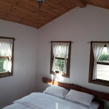 House With Backyard And Winter Garden In Agva بيت للعطل *