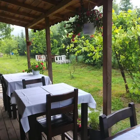House With Backyard And Winter Garden In Agva Geredeli