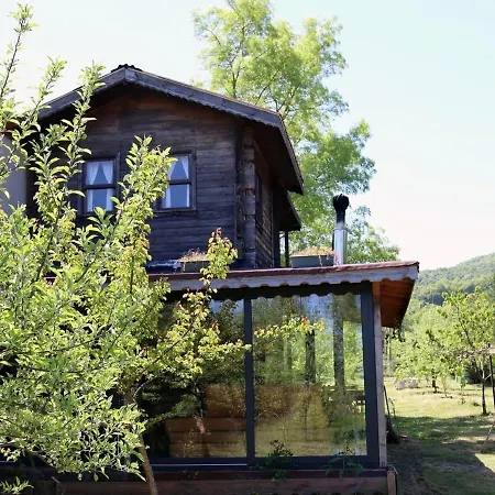 House With Backyard And Winter Garden In Agva بيت للعطل Geredeli